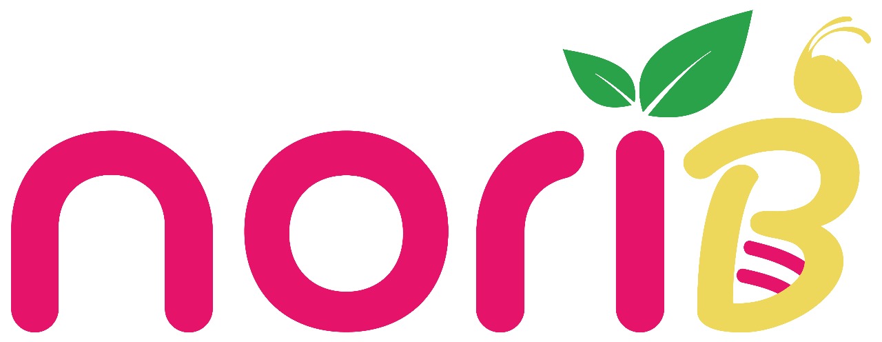 NoriB Logo